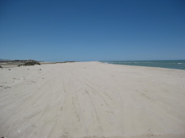 710Shell060_3e8d38dd522af28f9ff94eb1b180c872e66528d7.jpg