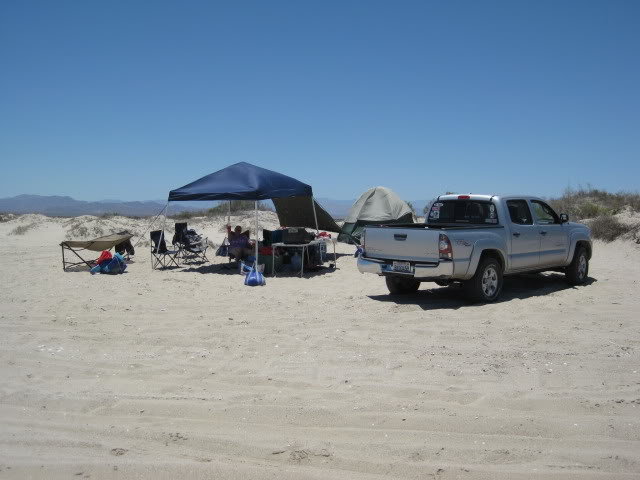 710Shell061_7044663fd257bdbd87b0bde892d54e55e5ef3d24.jpg