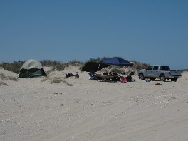 710Shell069_d48f0854927d506f51ad12d85532efb3c34fbac3.jpg