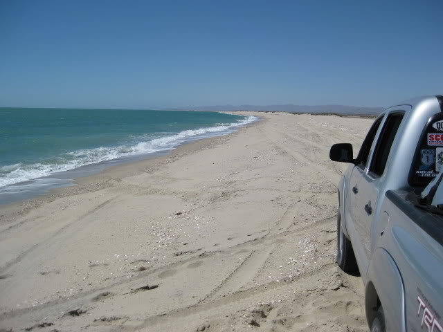 710Shell085_fee7b00eb8f680ae6e71d3ea5dc24876f4622801.jpg
