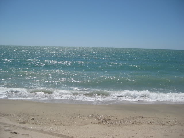 710Shell088_dff955627b358d6636dacf22520eda3307b588fb.jpg