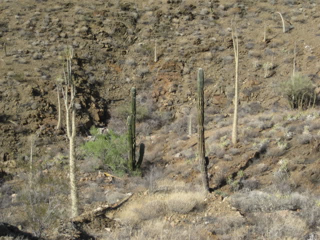 711066_90ad1599ab28d776df774564860e19544b723e45.jpg