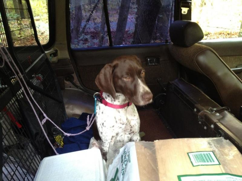 712446d1355460398-omg-my-fj60-stolen-my-_257939d3fae5a034b7726f17e47f942c49a6d8d4.jpg