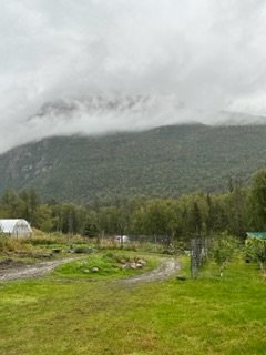 71609260621__2E699B6E-C125-4531-969B-D9E76D3C42D0.jpg