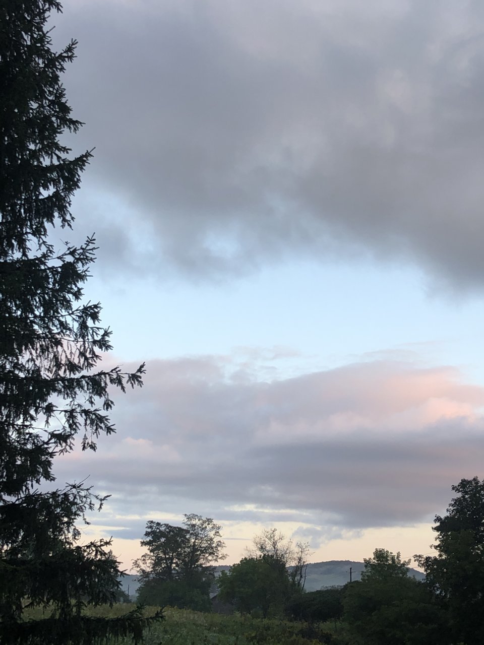 71681332557__D1FA62F8-26EB-4F01-98E1-EBA6AFE7E422.jpg