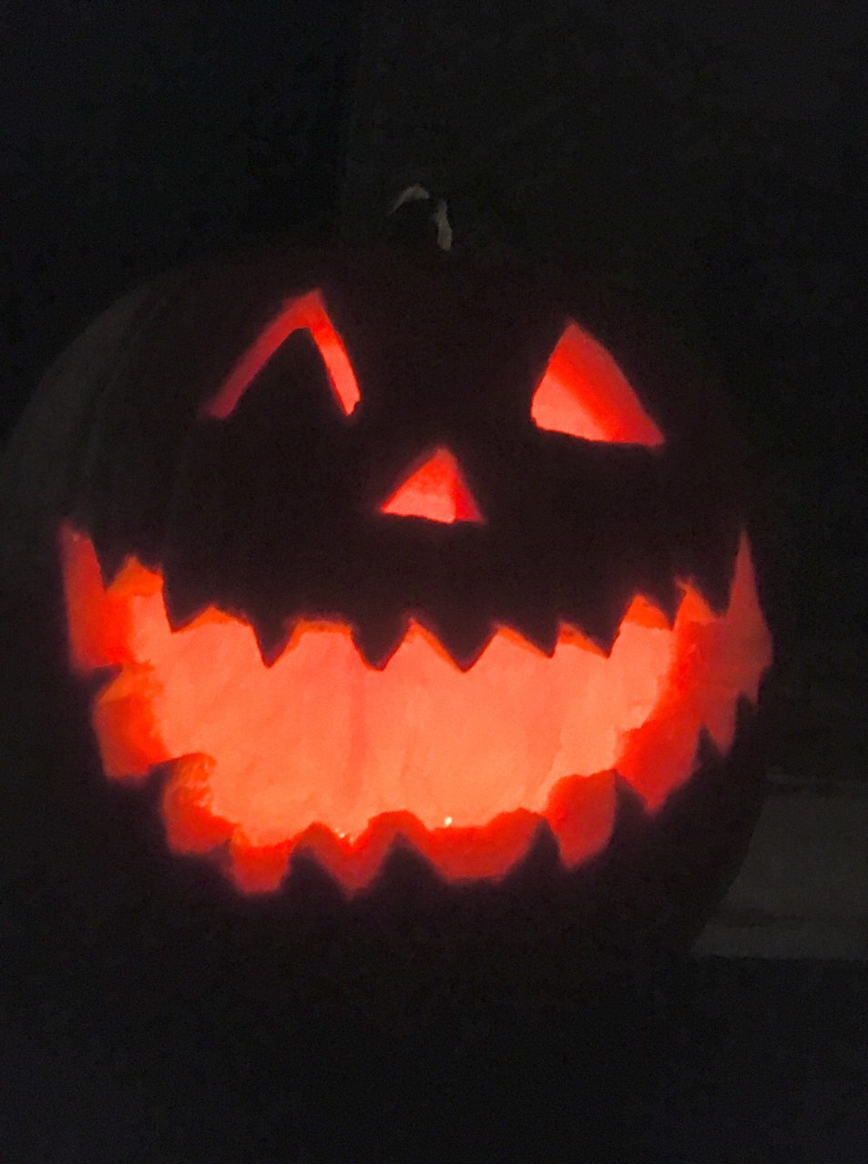 719284C6-1433-489B-AAC9-622CB5B68D0E.jpg