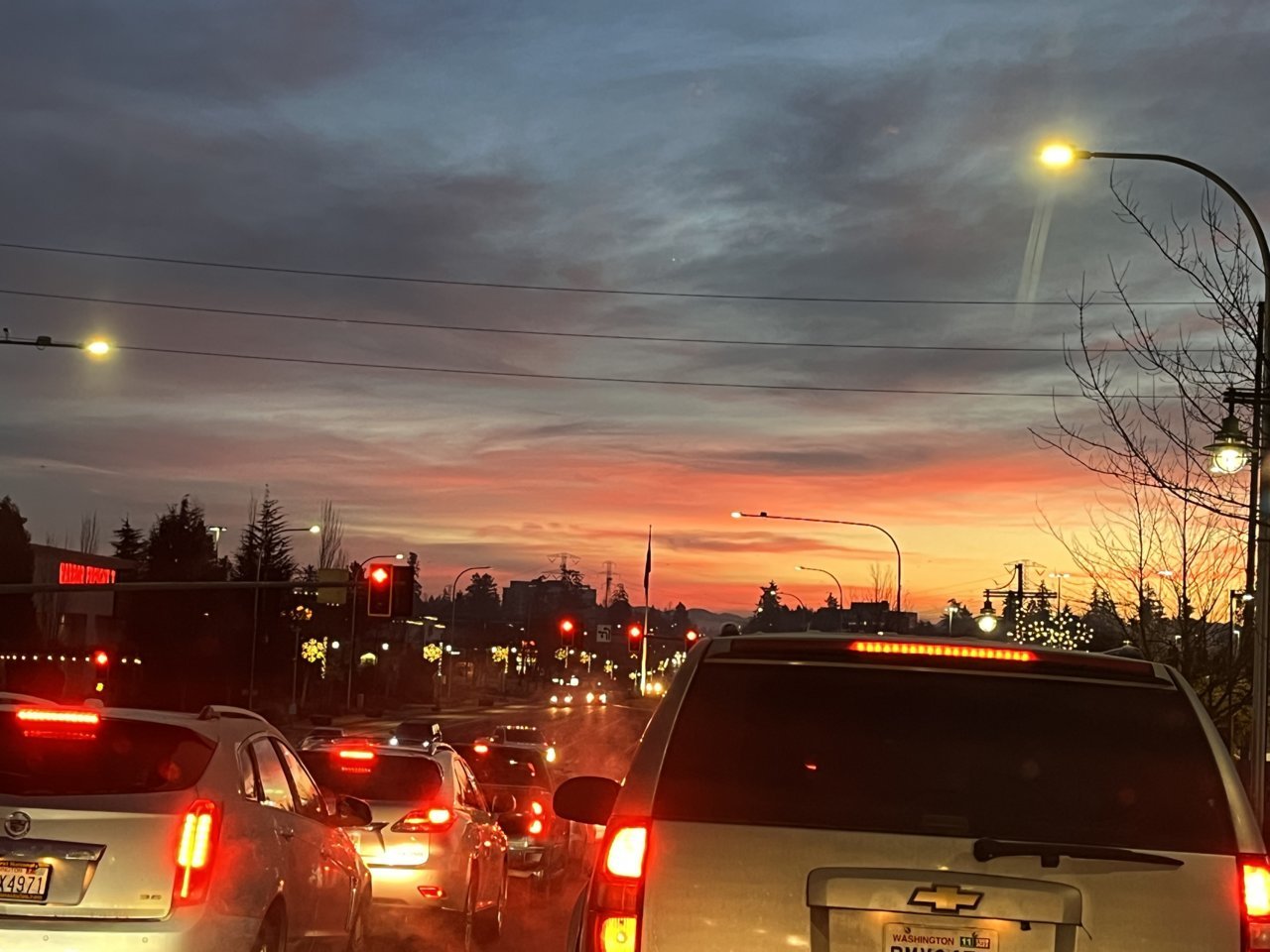 71B59415-139F-4C7B-8AF4-36F6DB7CB97F.jpg