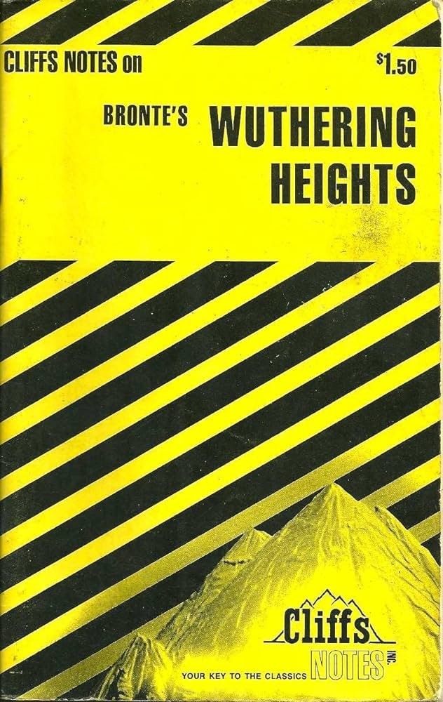 71bSMe5Qh5L._AC_UF1000,1000_QL80_.jpg