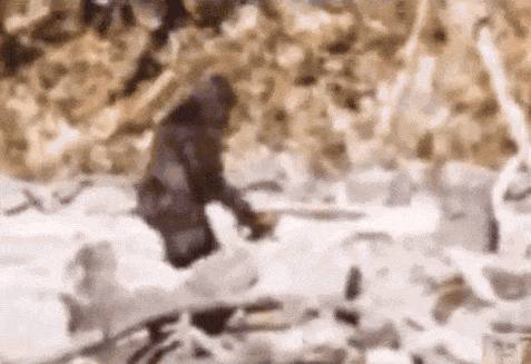 71e321d0e8bfc4ffc6b625992d7968d677fef13d.gif