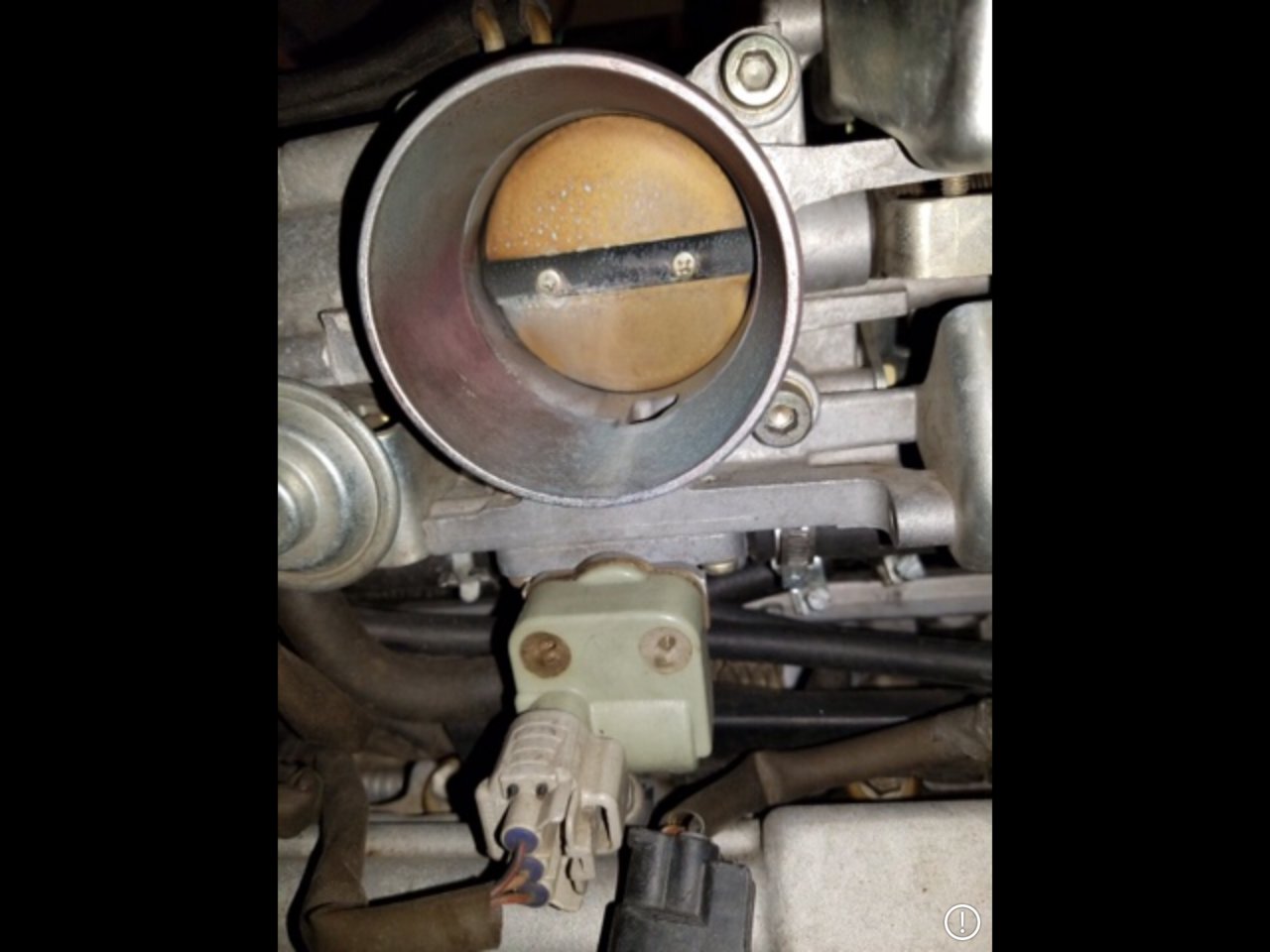 71E3412D-D1B8-4E00-AE76-0874EB7DB459.jpg
