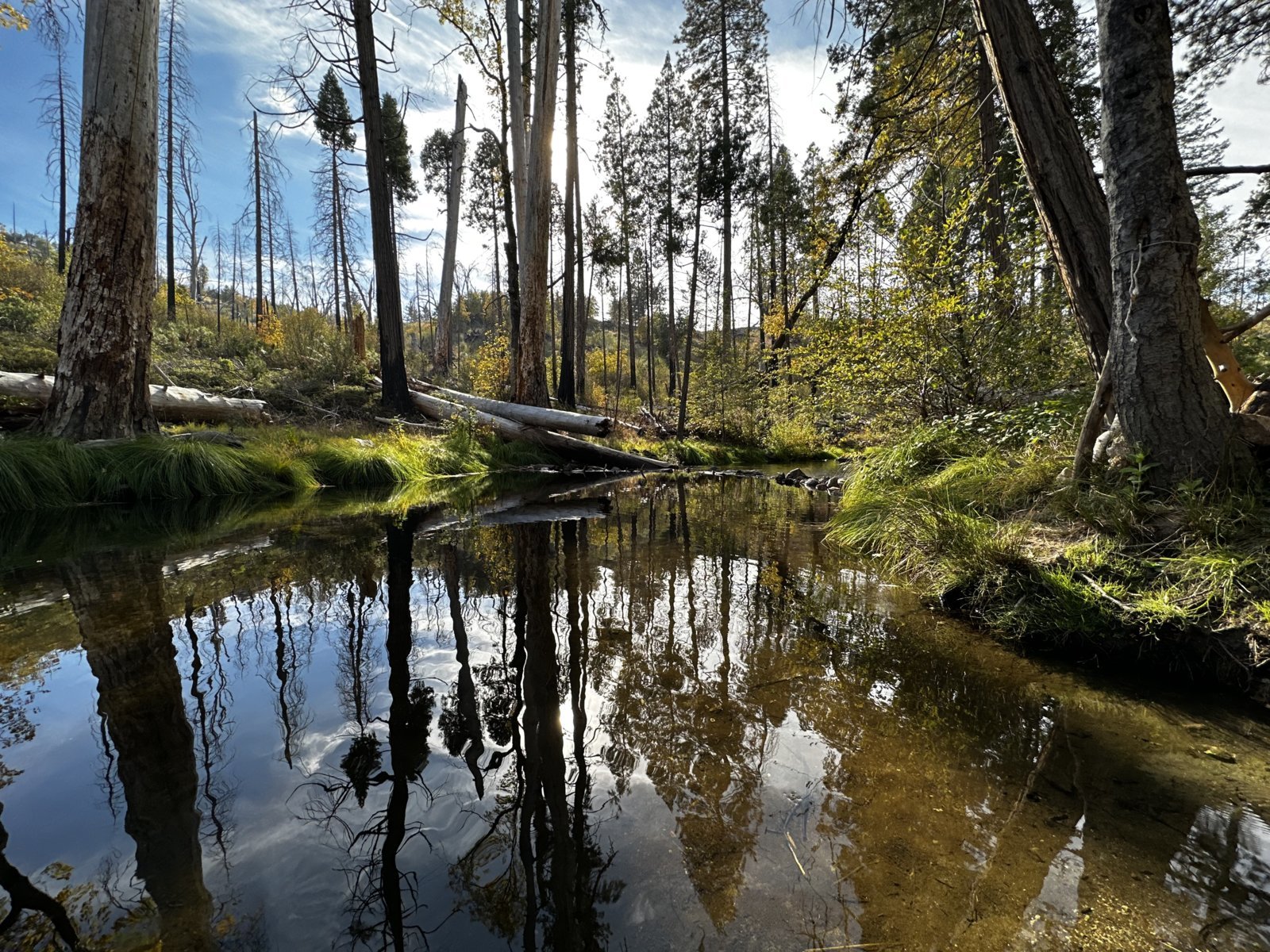 72082718324__3CC139CA-F08F-4BC0-BC45-762C0C63F914.jpg