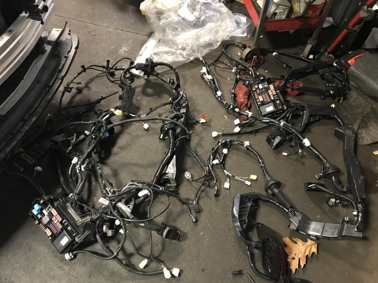 721AB8BC-36F7-4A73-A0A5-55F831A6EE60.jpg