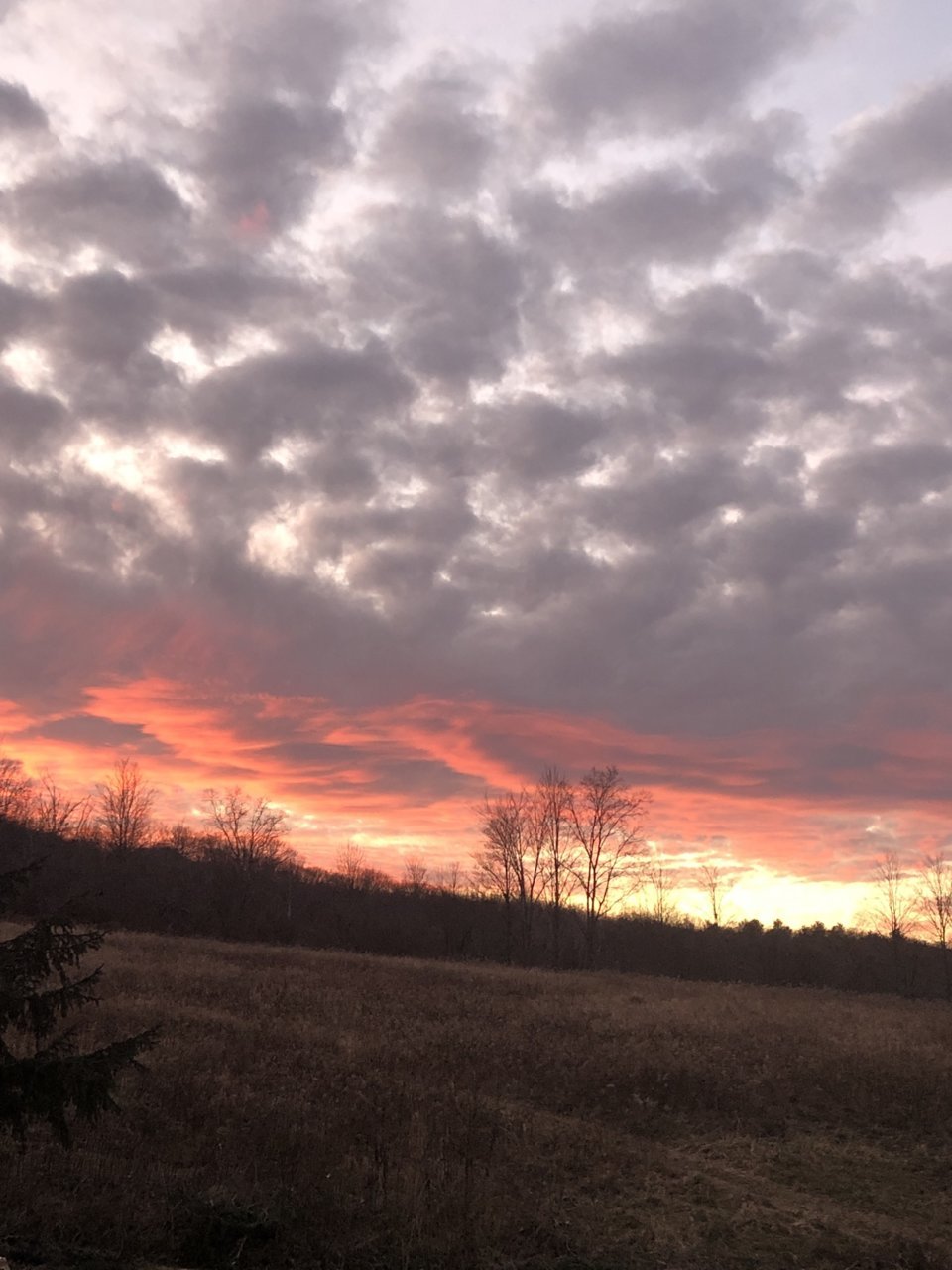 72267D39-D995-4F32-9798-47C45D732E4F.jpg