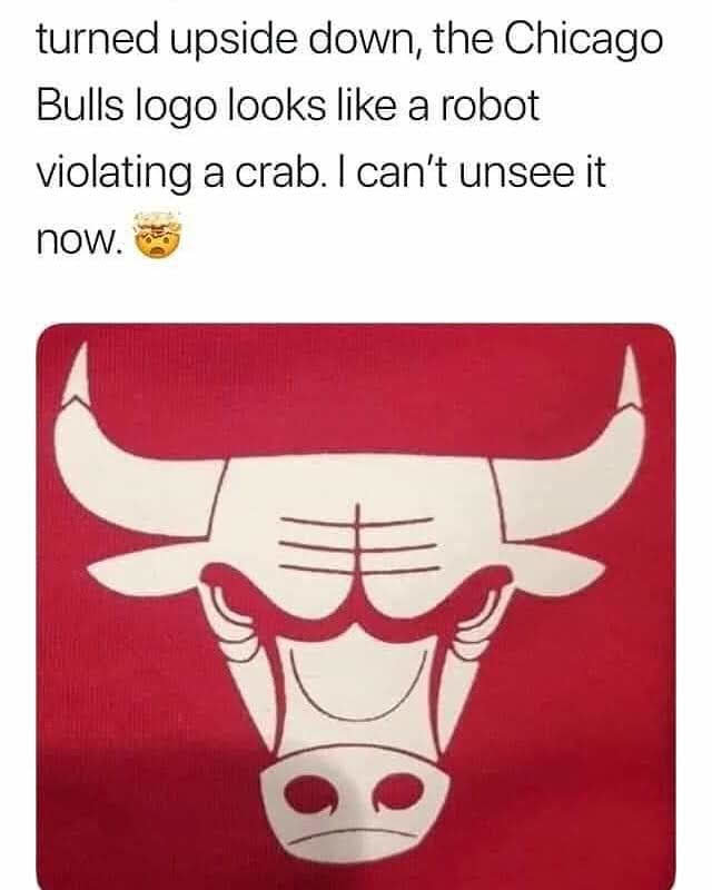 72945721_470393463817540_3785853600861342495_n.jpg