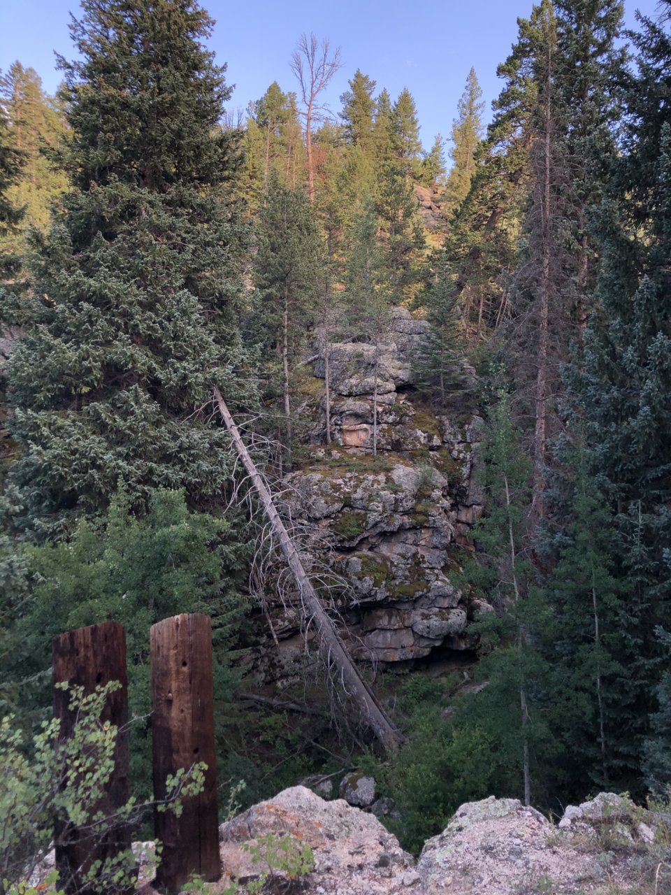 72A6D077-E970-4747-9C53-833EB2A8EDB0.jpg