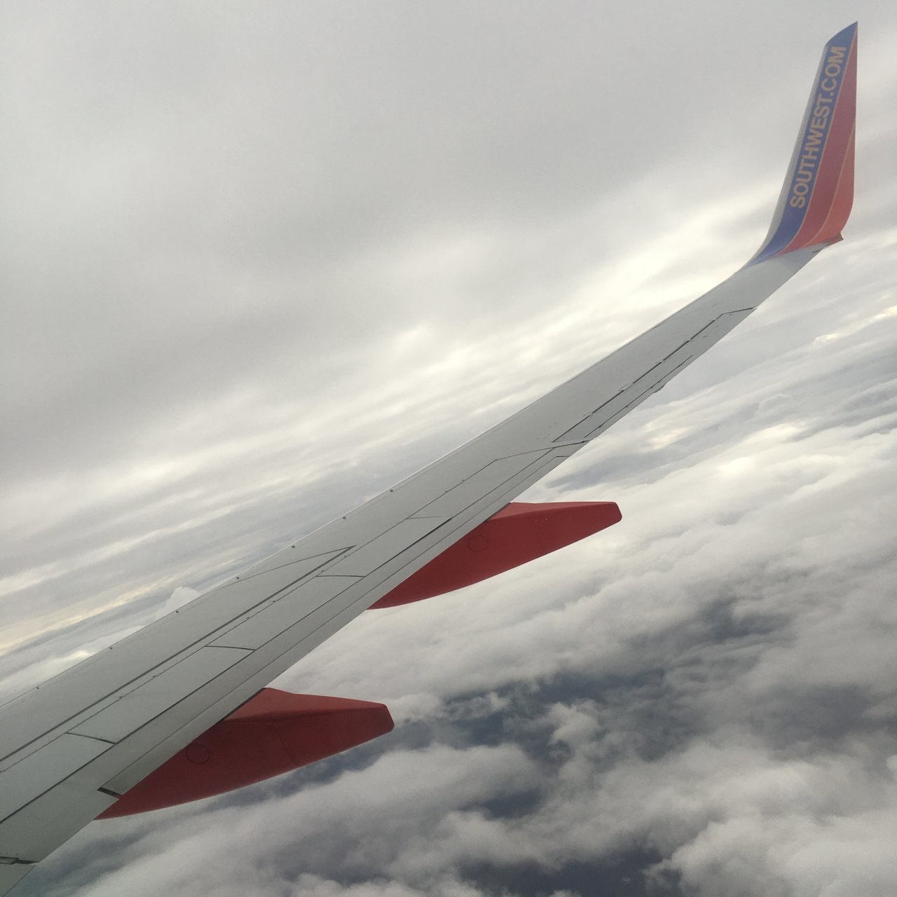 737CE440-F546-4562-B6CF-ED65B1CC1B85.jpg