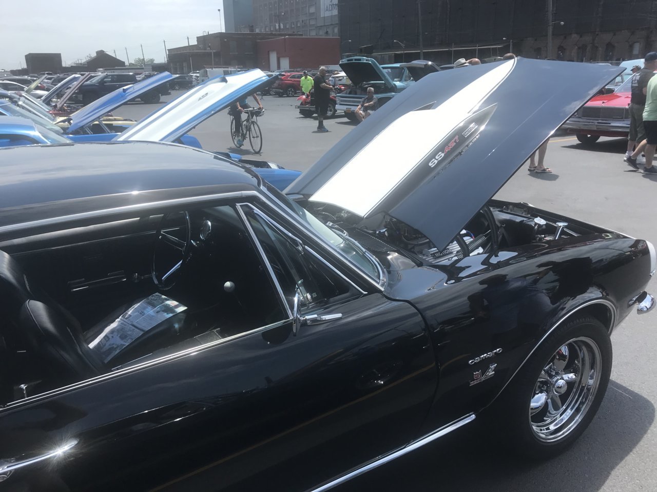 743609A8-48C7-4551-8836-B588610CB5CC.jpg