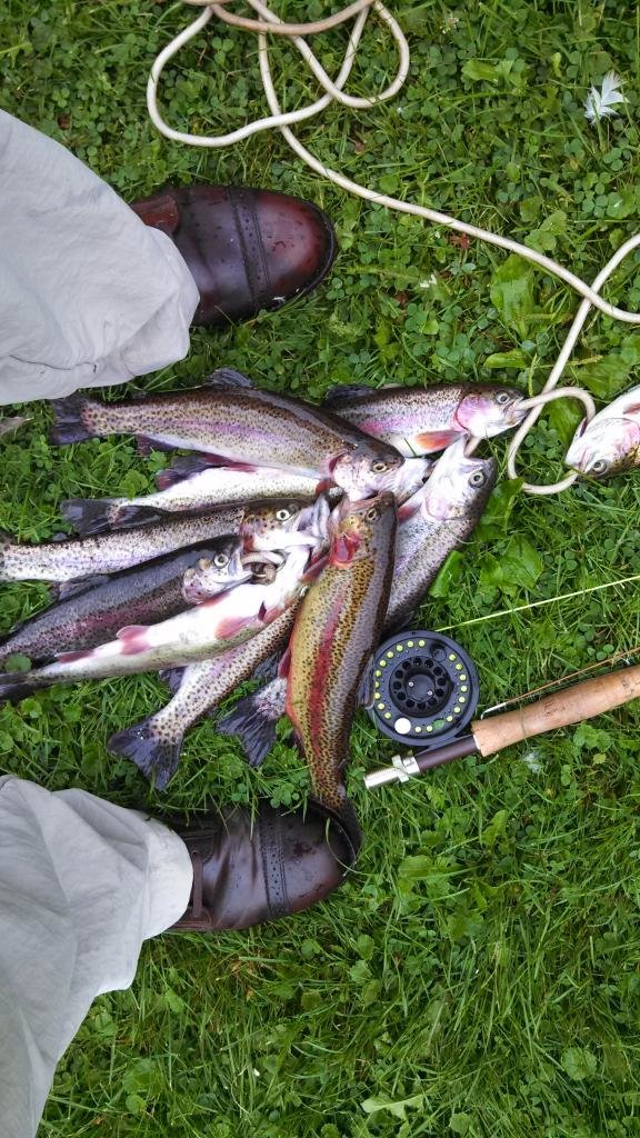 744Fish1_zps0677143f_dcd5a75fd9d4c60d9f0b0c08645c25381edd246a.jpg