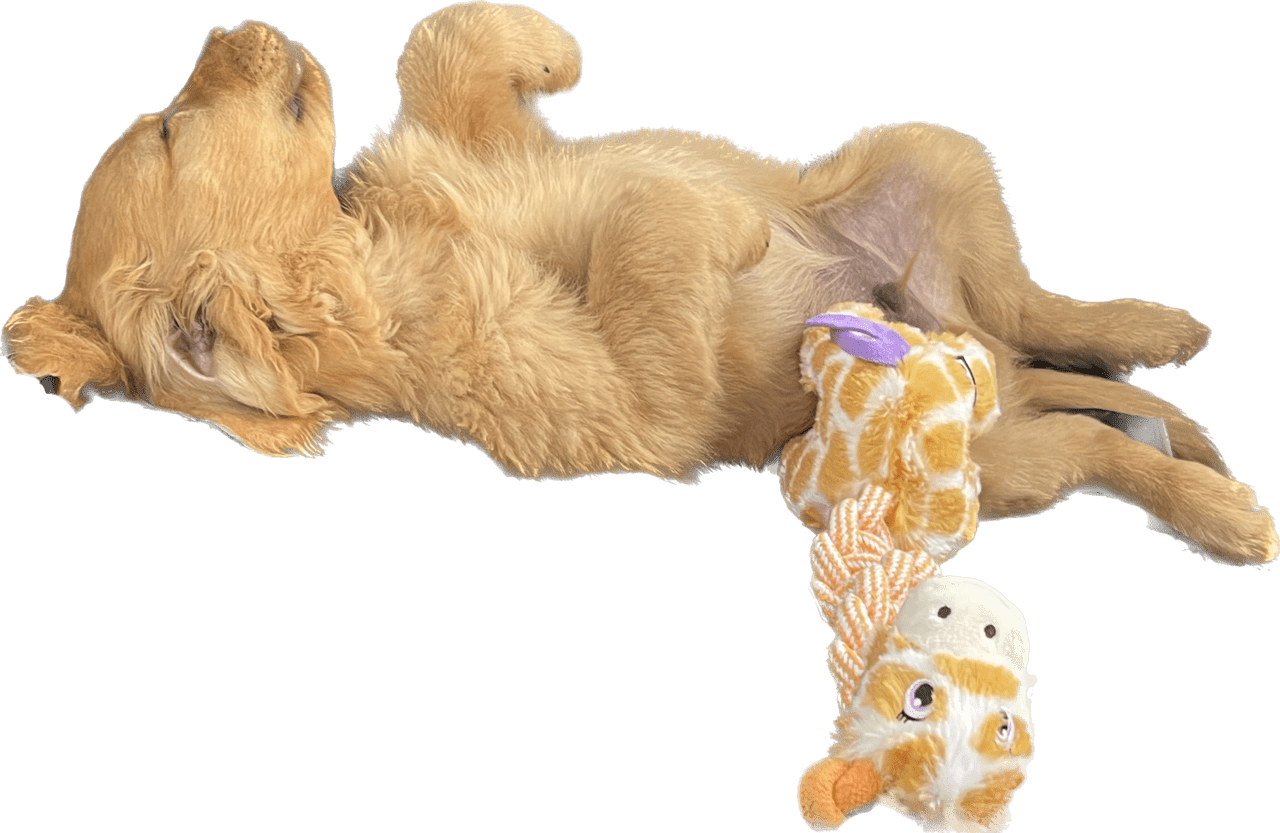 746075C7-F73C-4500-A09F-D37445A14CD5.png
