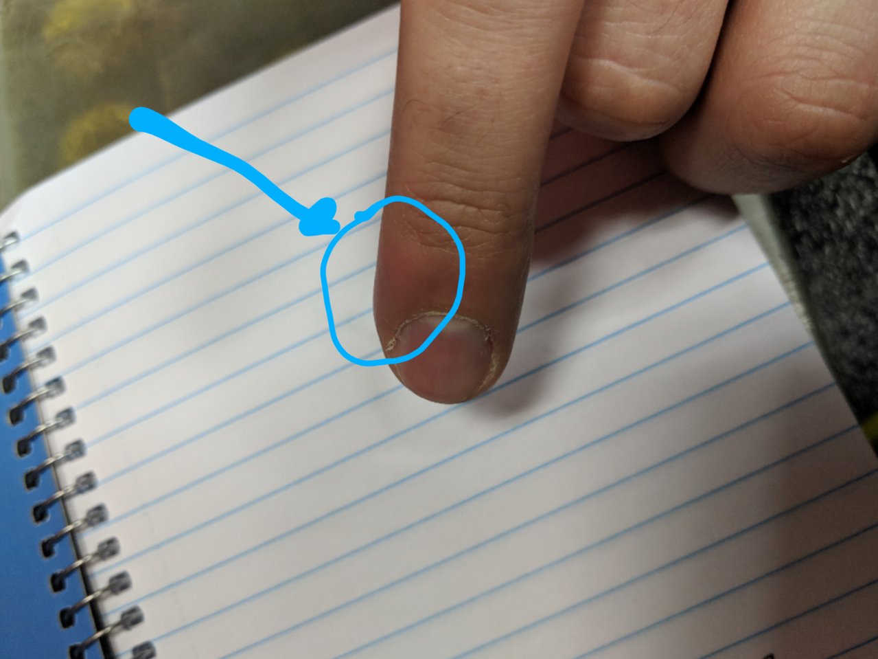750859230.jpg