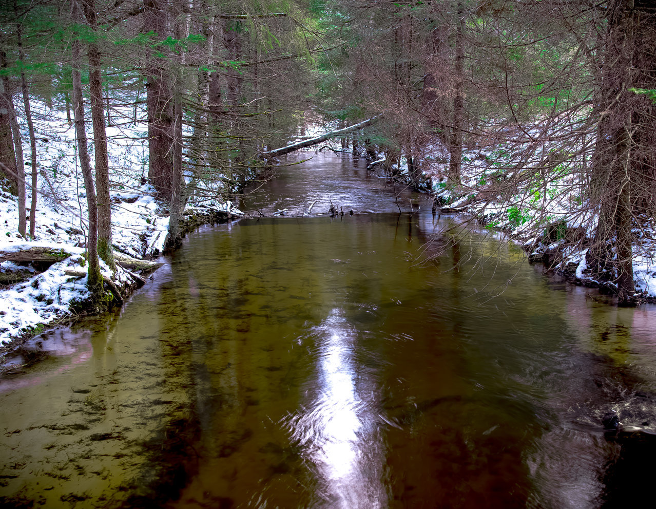 750_0331.jpg