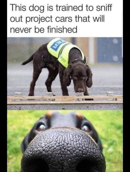7523E0B0-69E9-408C-BA5C-7A8BE4C76A5C.jpg