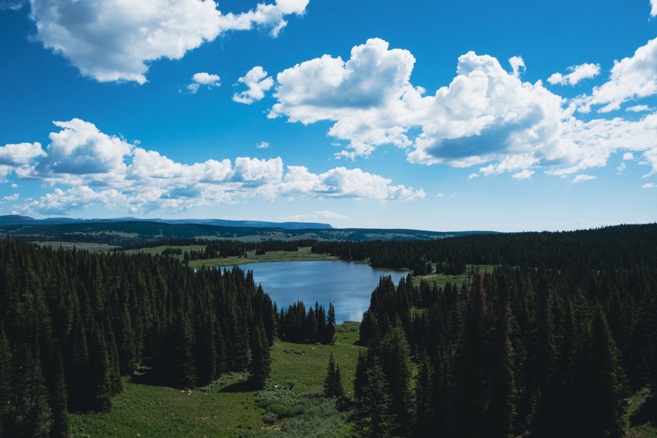 7532646b-3f27-46b0-b5fd-999c5923e402_rw_3840.jpg