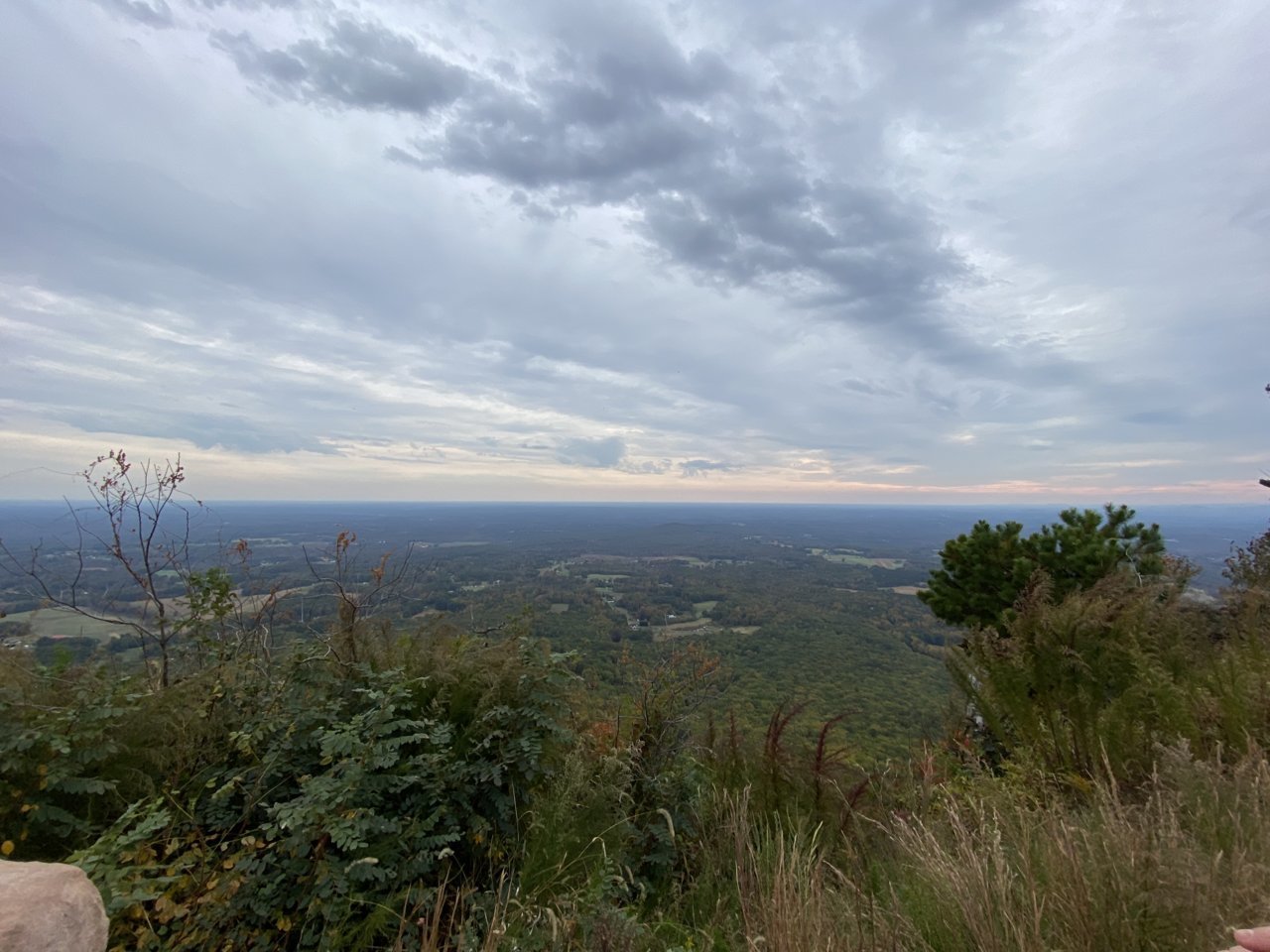 754D4712-14A7-42D0-936D-86B8E791D0D6.jpg