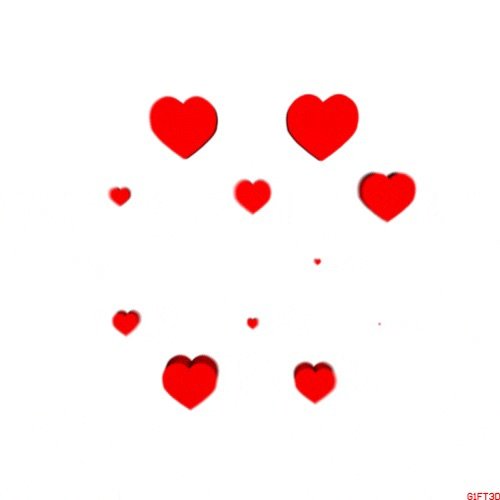 75646715-D47E-4B05-81D8-96765E72FBFF.jpg