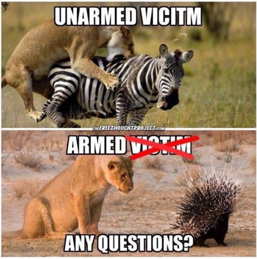75c4e9b37aa02f80.jpg