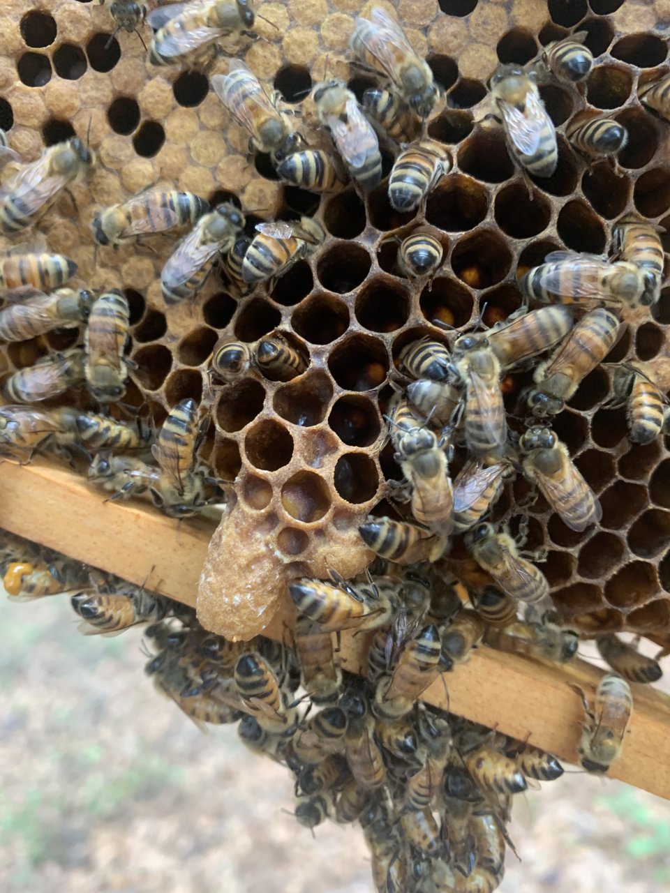 75F2FEF5-0AC5-44E2-BA9D-2F7928F46E63.jpg