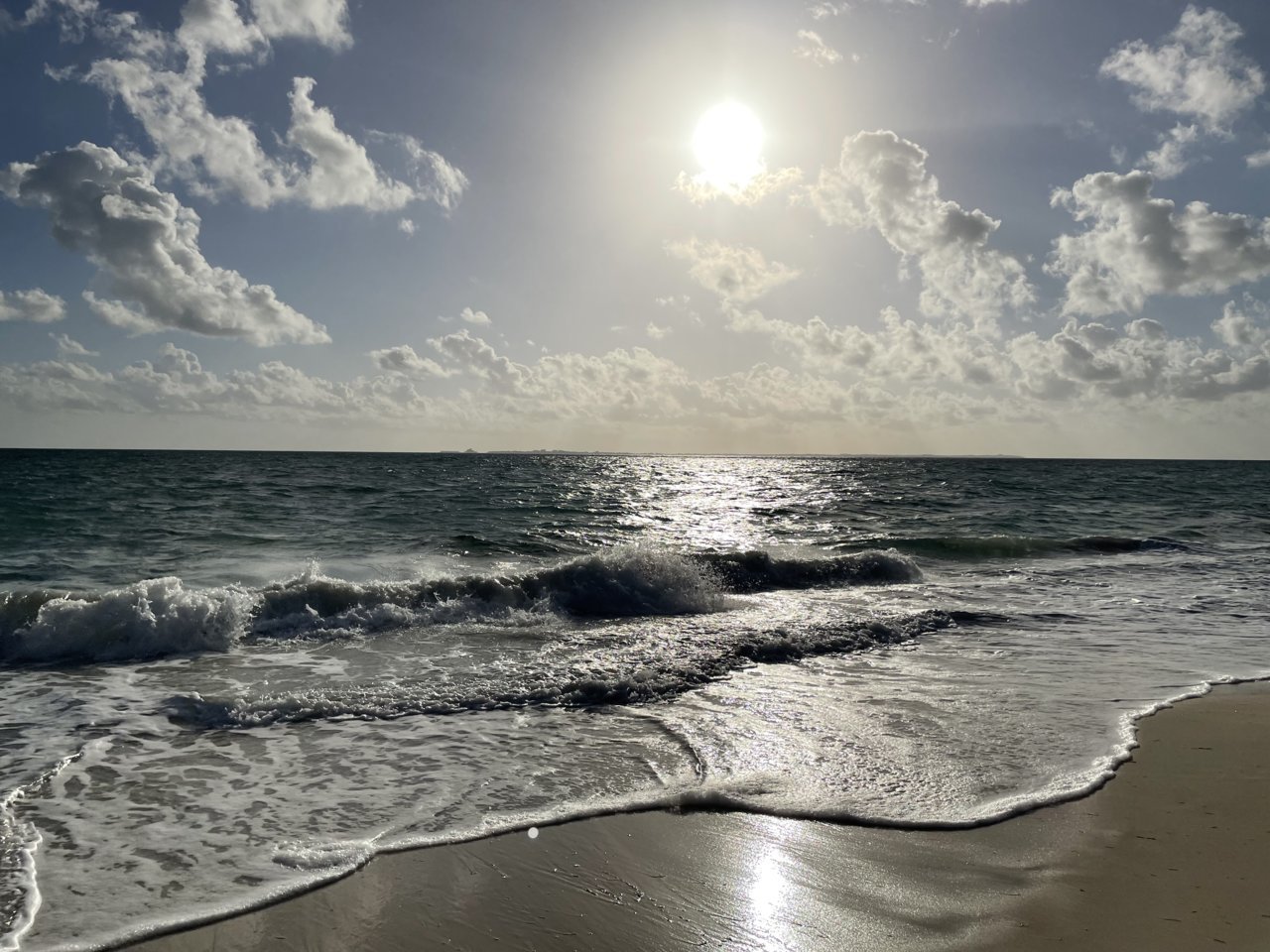 761085D8-4235-48C7-9D67-BFB6DCD1CD33.jpg