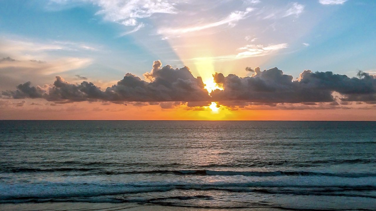 76332C0A-2BC3-4376-A228-503705073E10.jpg