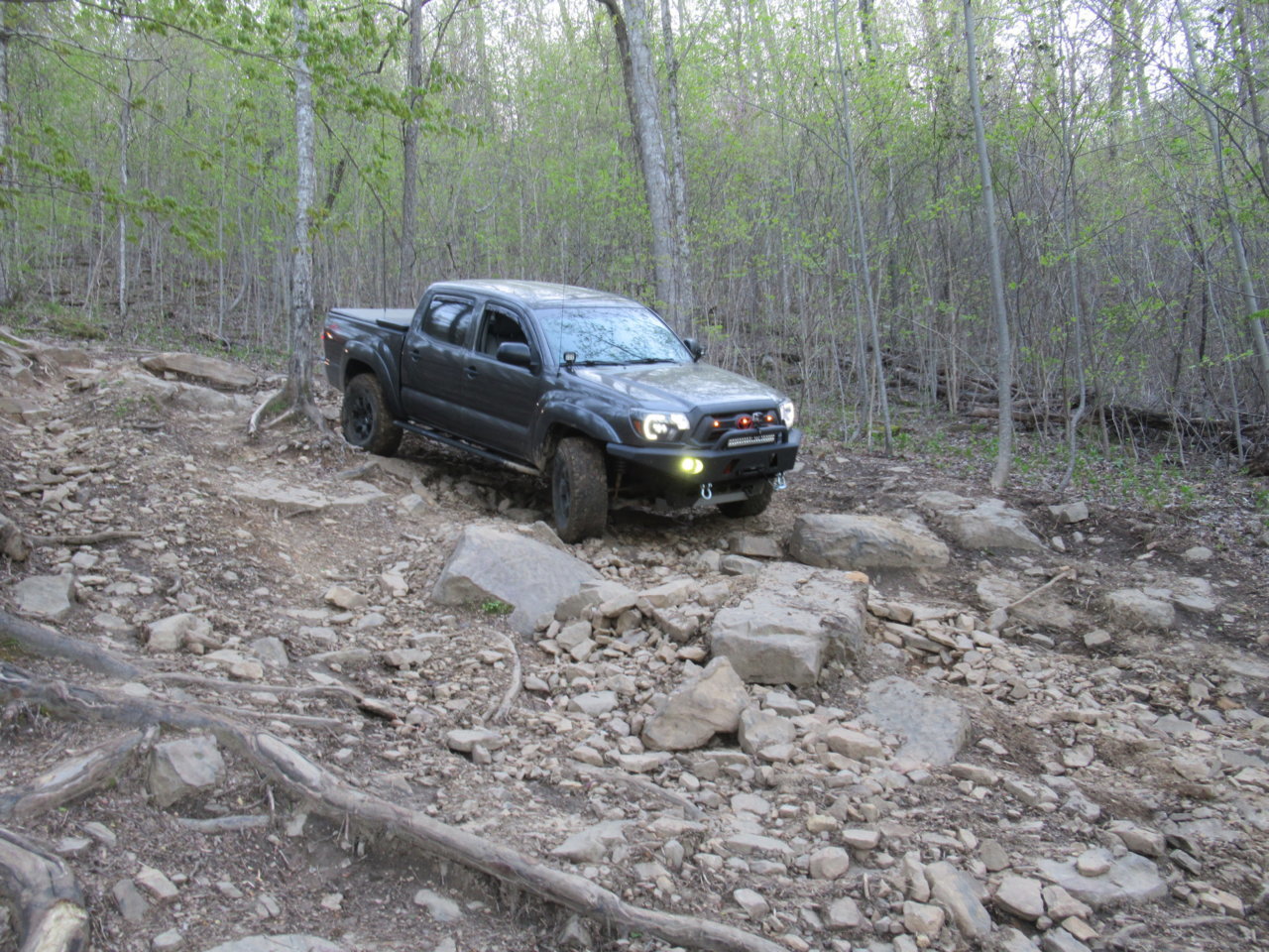 7650997744_IMG_0633.jpg