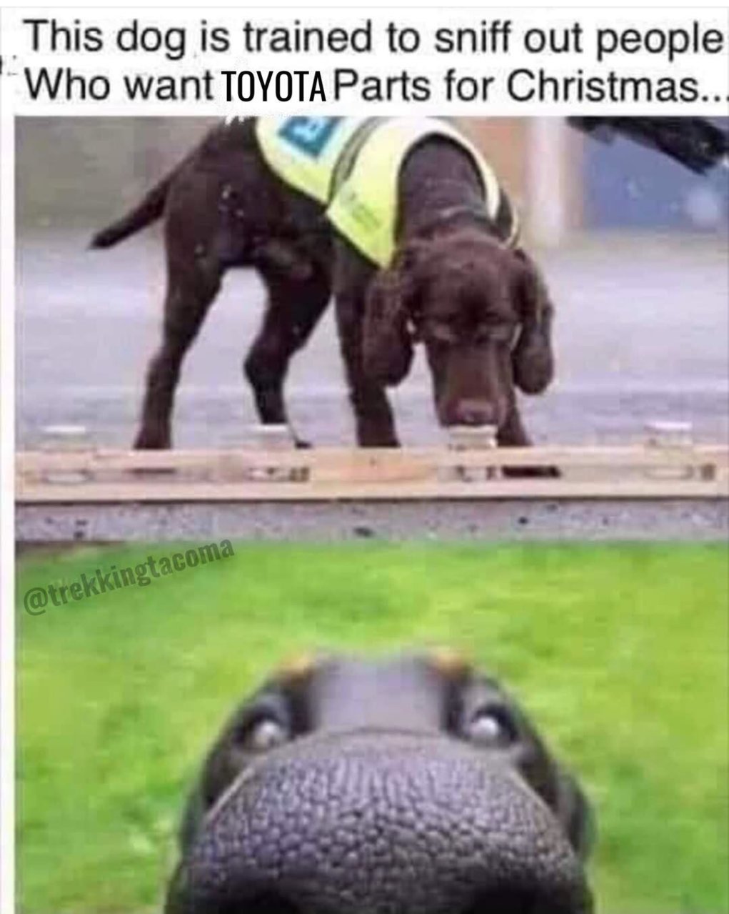 76969143_126729855435938_717693725265887_b22f33f6994f052b73b1e21e4c1ebd0ad2c354d4.jpg