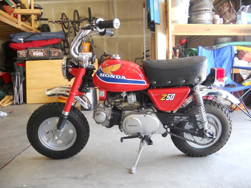 77 z50.jpg