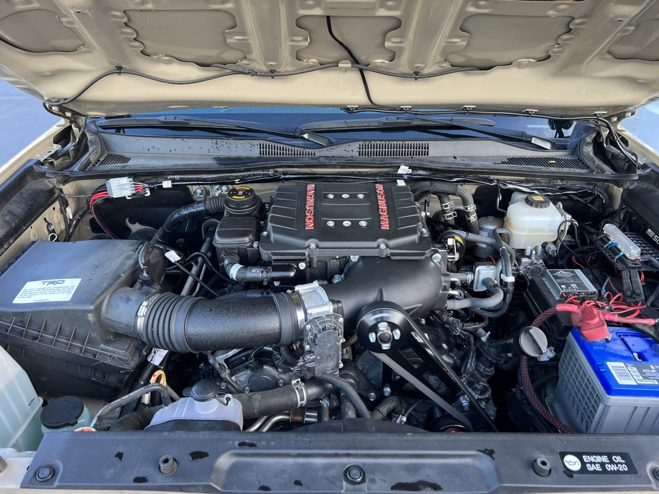 772F356A-1F8B-4CCF-ACE6-E2FDE187BAC7.jpg