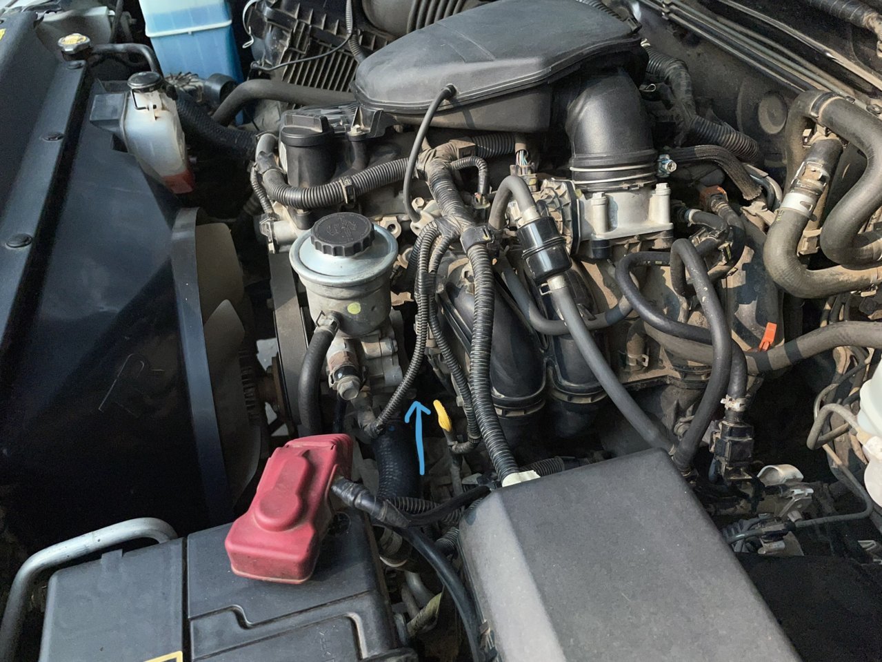 7736EBA8-9290-44AA-BF63-745DB6821573.jpg