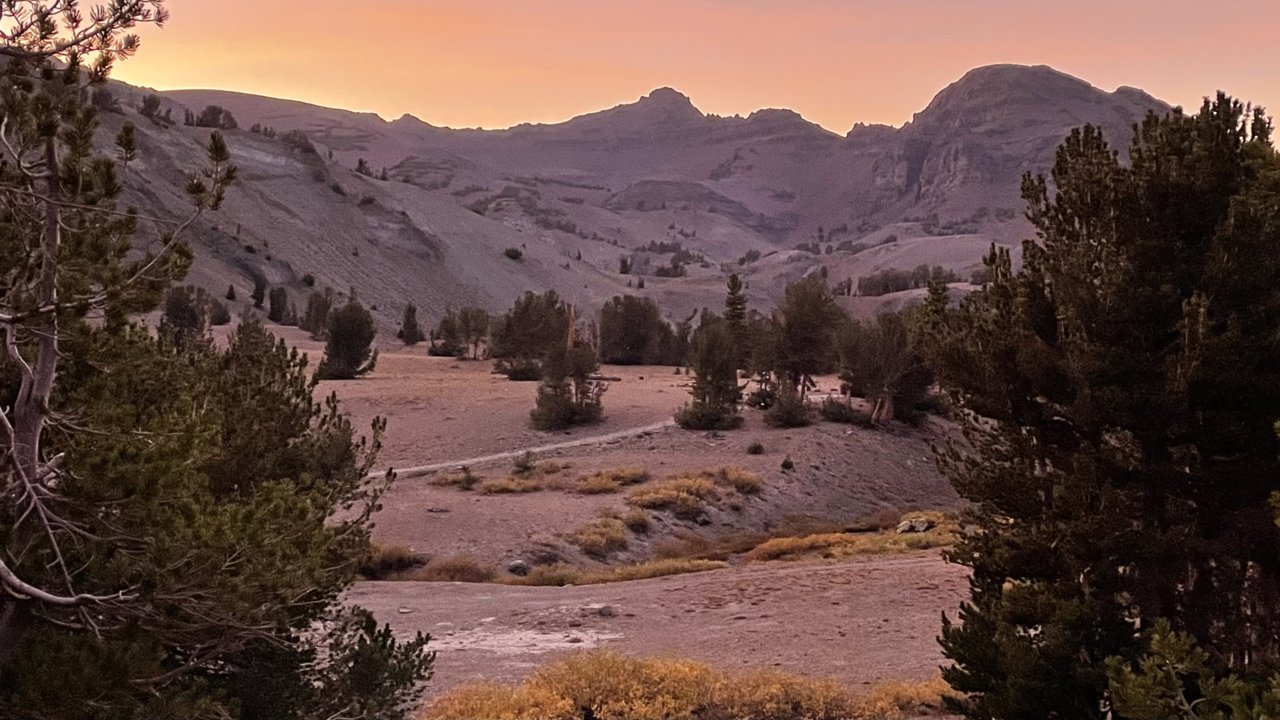774868D5-F9ED-4AB7-AB4F-085C17F6AA0D.jpg