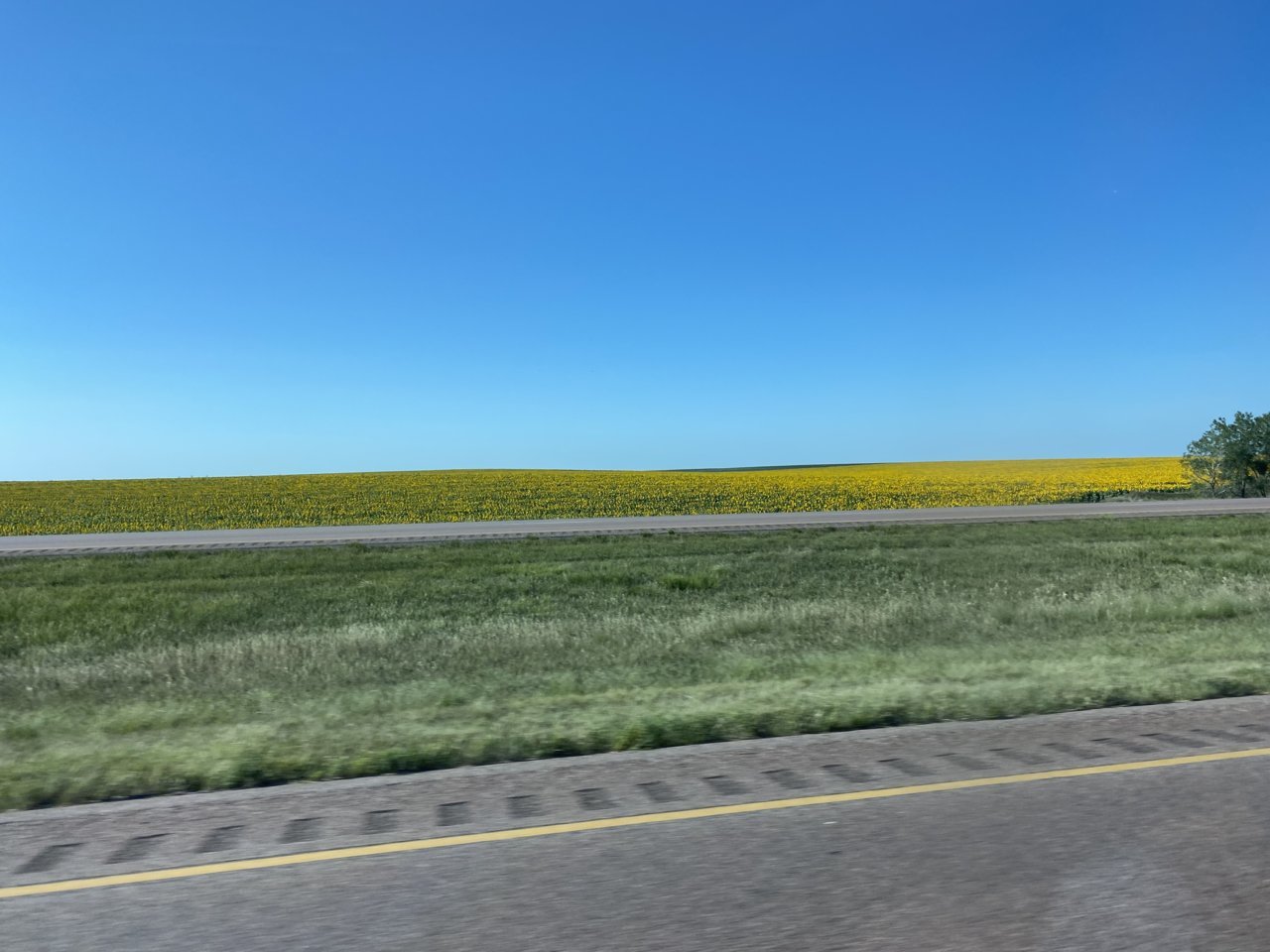 77A9293E-3629-428B-8D78-105421E4DC14.jpg
