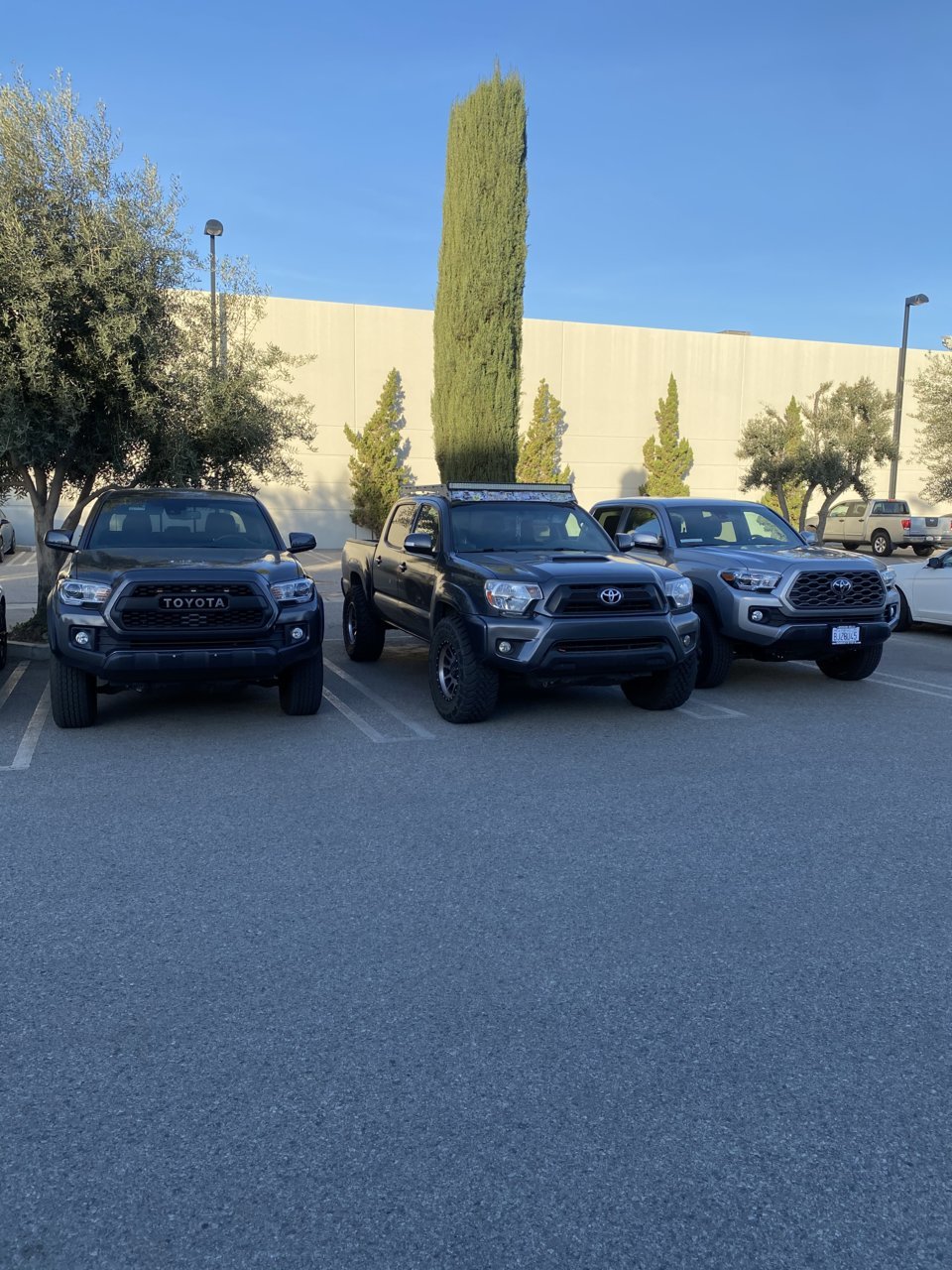 785573BC-D116-404E-BD70-CA3FCB69FA7E.jpg