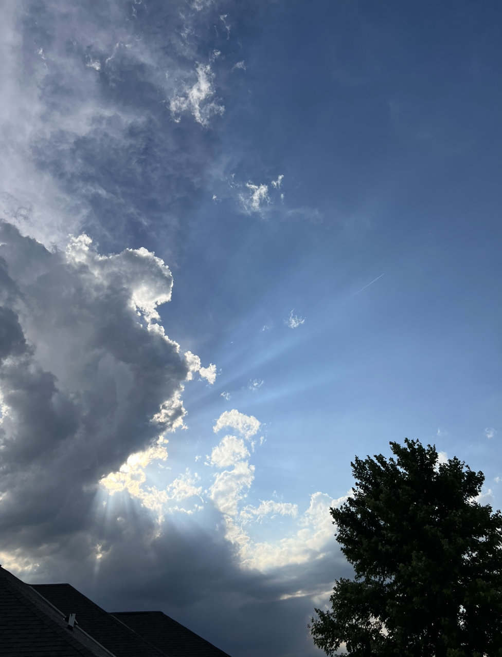 787EEA25-DDD2-440C-85B0-CE9D3E884944.jpg