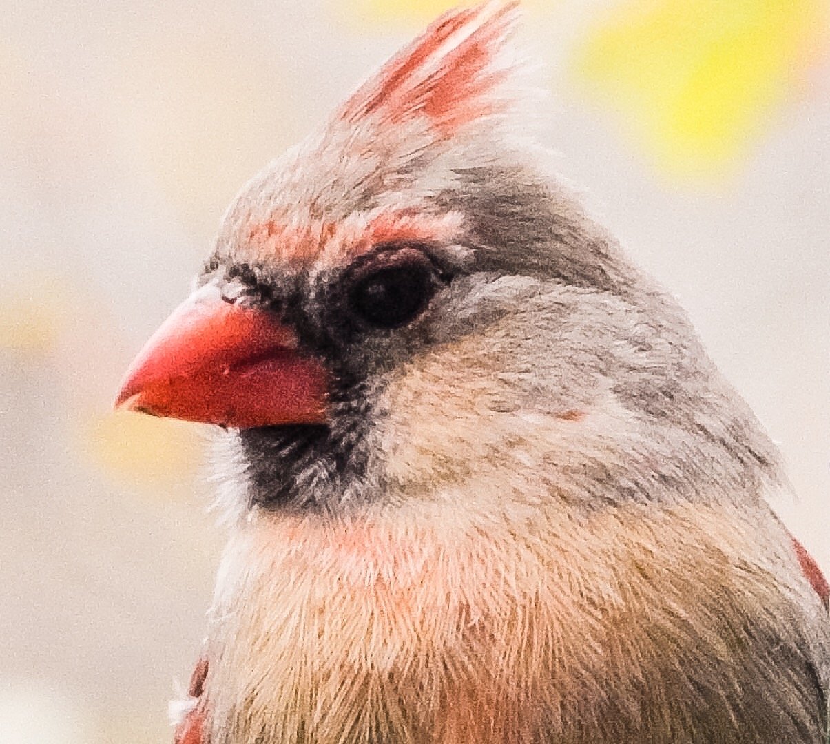 788458BE-C9D6-4B38-B232-0B72A1BE0133.jpg