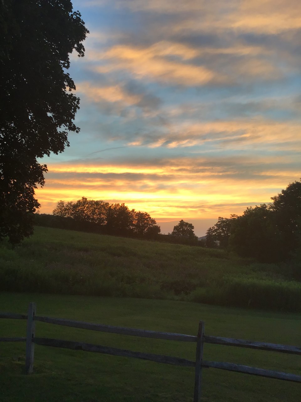 79FD8E87-8421-44BE-956D-BDB9BB9D03DD.jpg