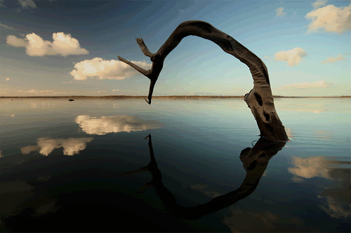 7_7ab5327363186b2bbe1eb21fb1461fbb3bafd73a.gif