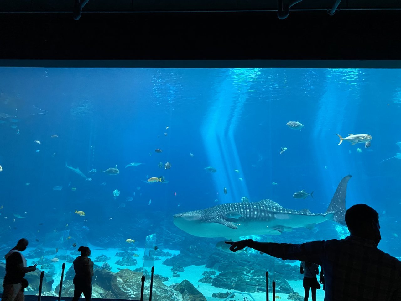 7A709C6E-FFA8-46DF-8E53-1ED39DB25B82.jpg