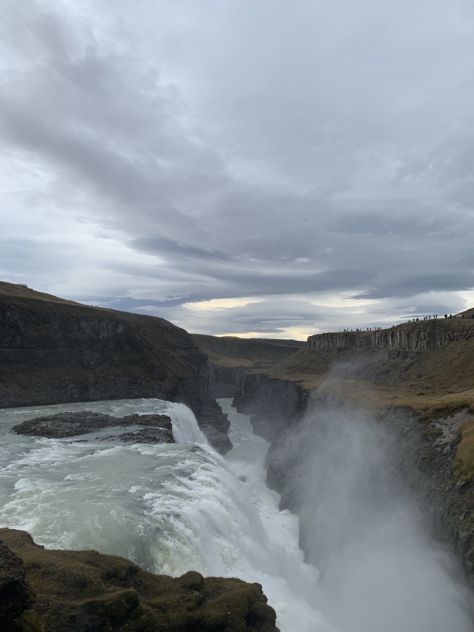 7A98DFD4-43EF-4165-958C-77AE78F119D5.jpg