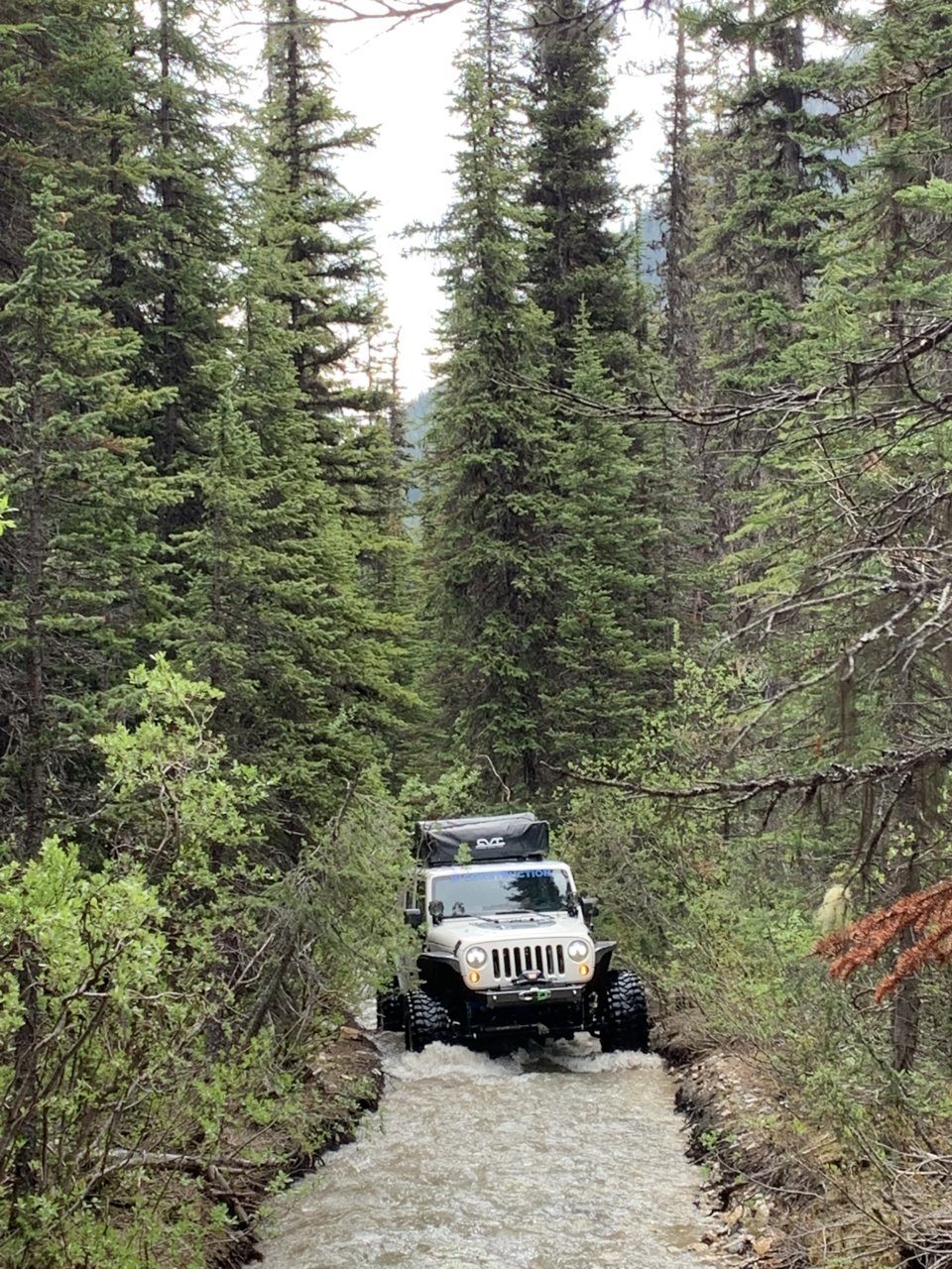 7AC84B85-F783-4158-82E6-50F1508AB276.jpg