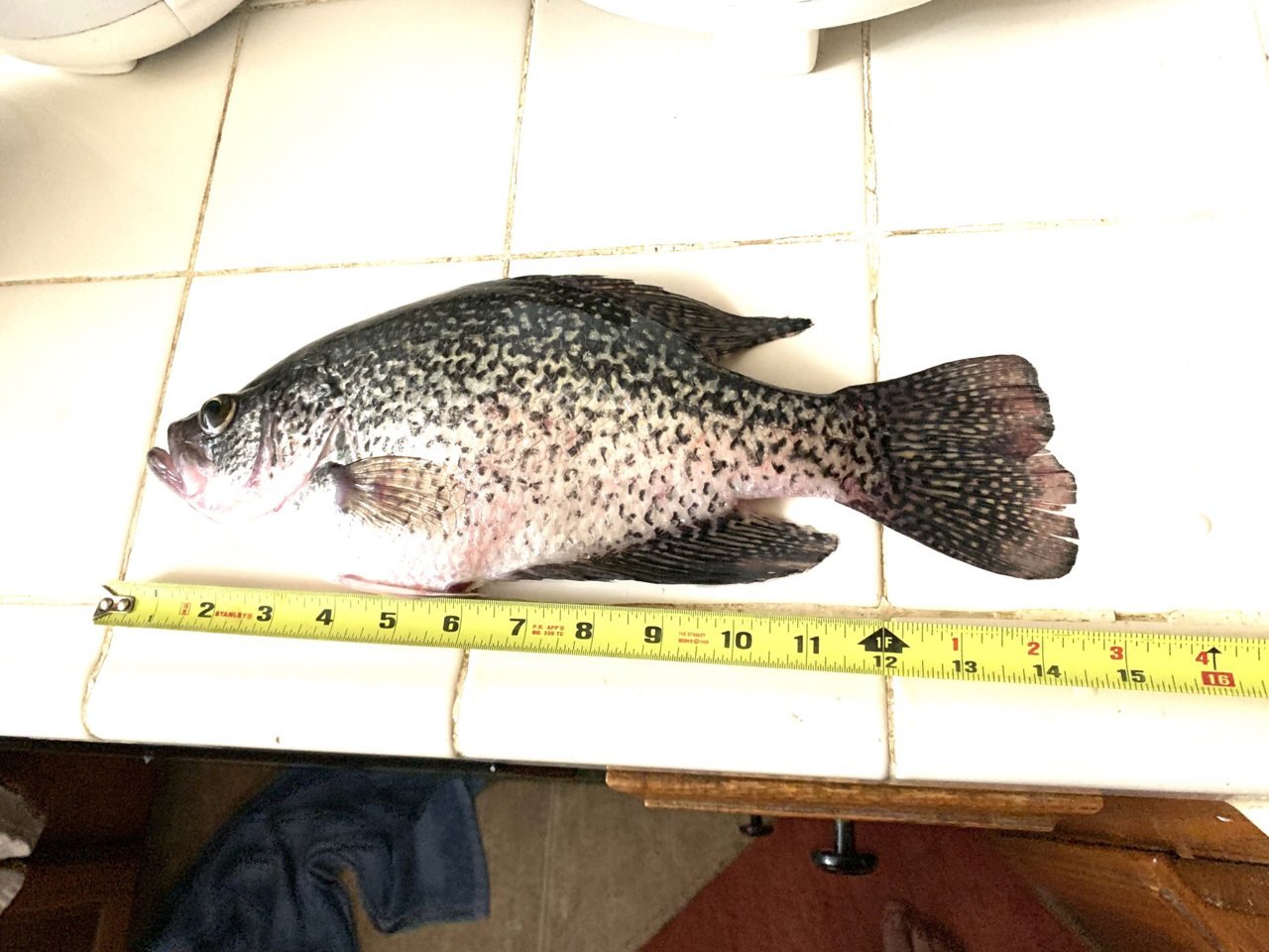 7B0B05A3-D22F-4E30-8472-8E52A90C9433.jpg