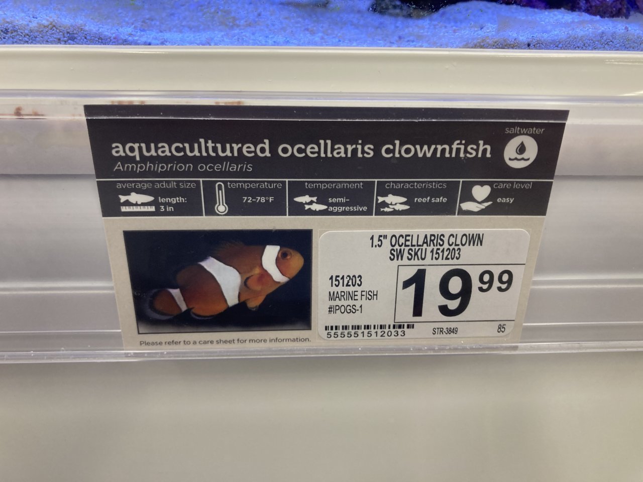 7B0C1CB6-79C1-43C1-9357-C29D8BD835D4.jpg